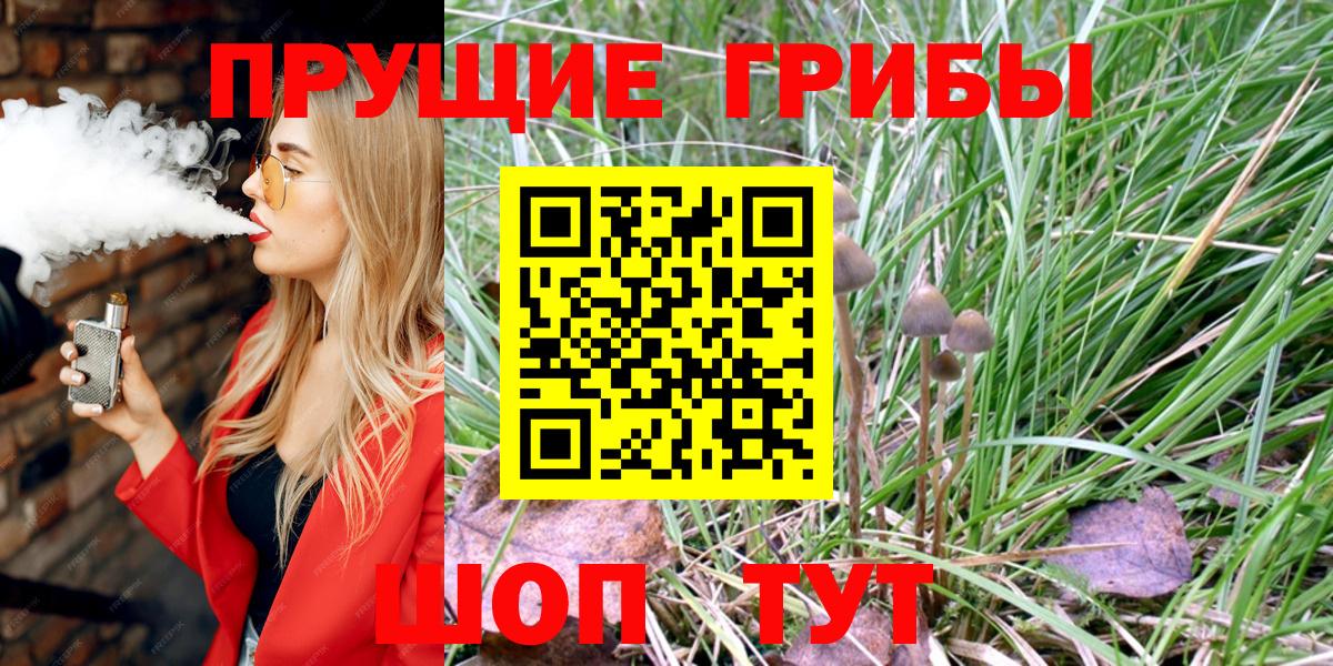 купить наркоту  Псилоцибиновые грибы мухоморы  Химки  Вход с VPN  Псилоцибиновые грибы мицелий 